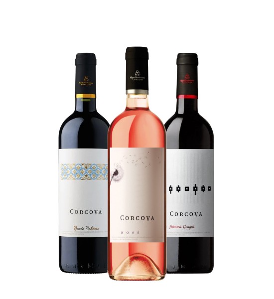 Party Box TASTING CORCOVA - 1