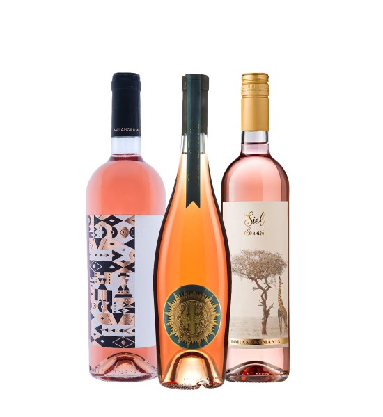 Party Box TASTING ROZE de TOHANI - 1