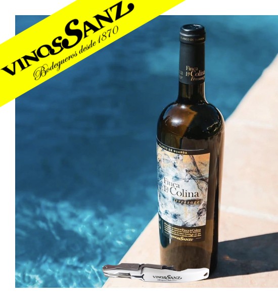 Party Box VINOS SANZ - 1